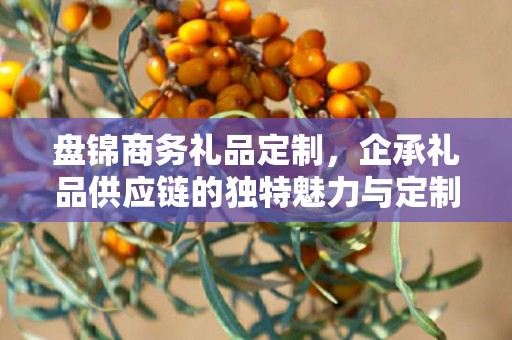 盘锦商务礼品定制，企承礼品供应链的独特魅力与定制之旅