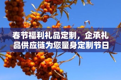 春节福利礼品定制，企承礼品供应链为您量身定制节日惊喜